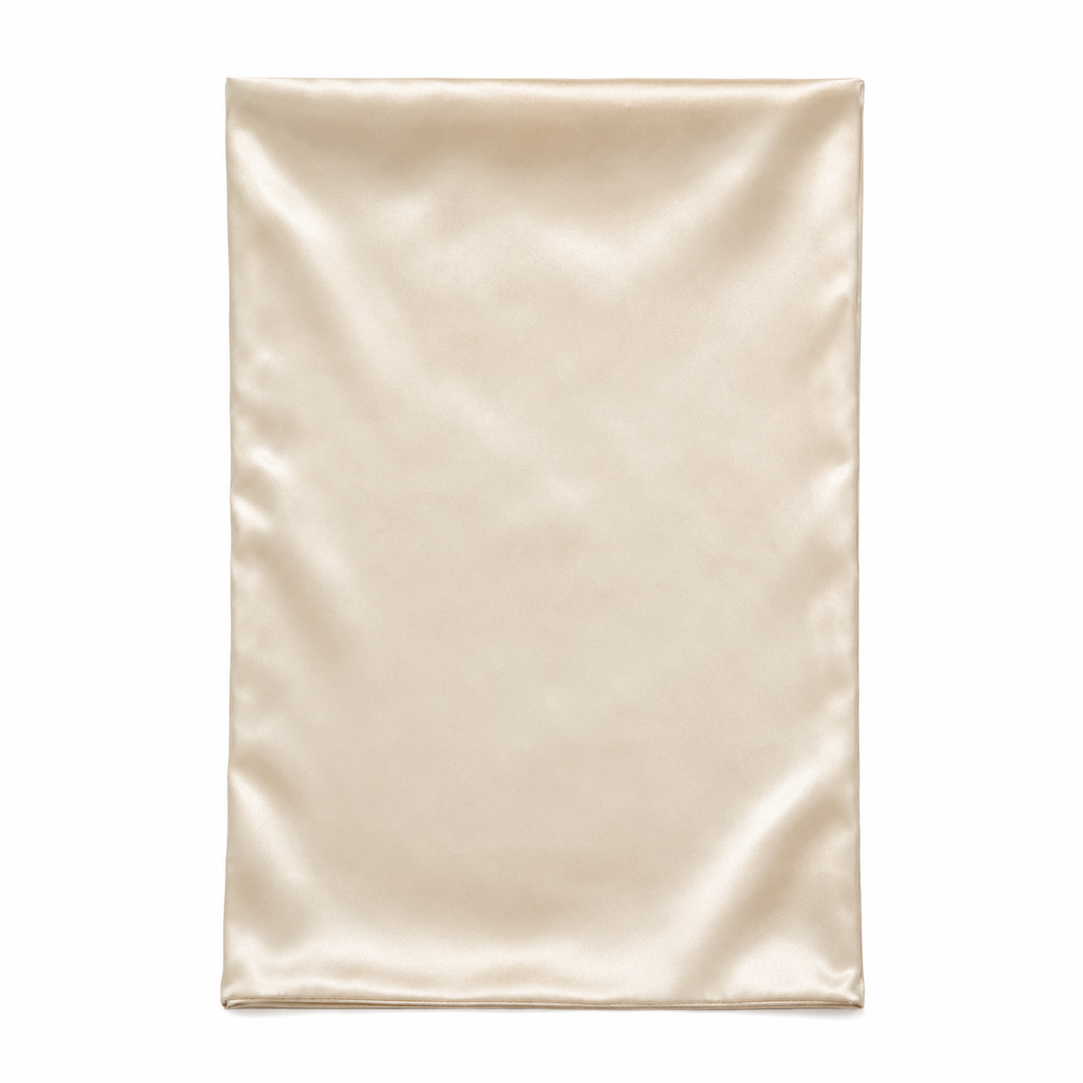 Silked Satin Single Pillow Sleeve Golden Bag